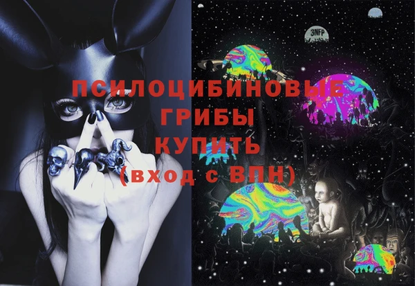 mdma Ельня