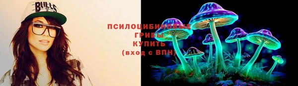 амф Елабуга