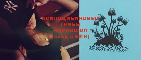 mdma Ельня