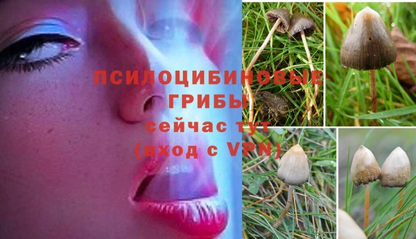 амф Елабуга