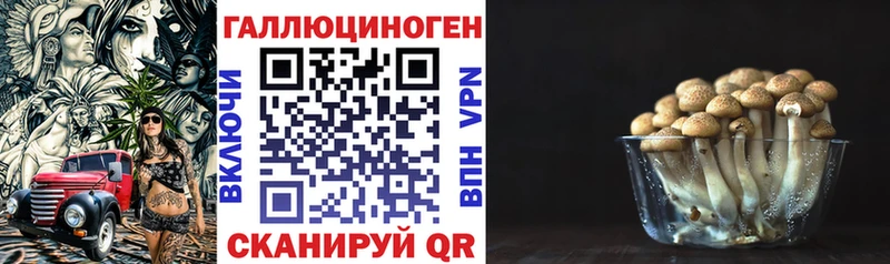 Купить закладки  Фролово  Галлюциногенные грибы GOLDEN TEACHER 