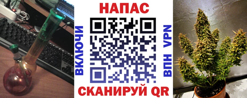 Бошки марихуана семена  Купить где  Фролово 